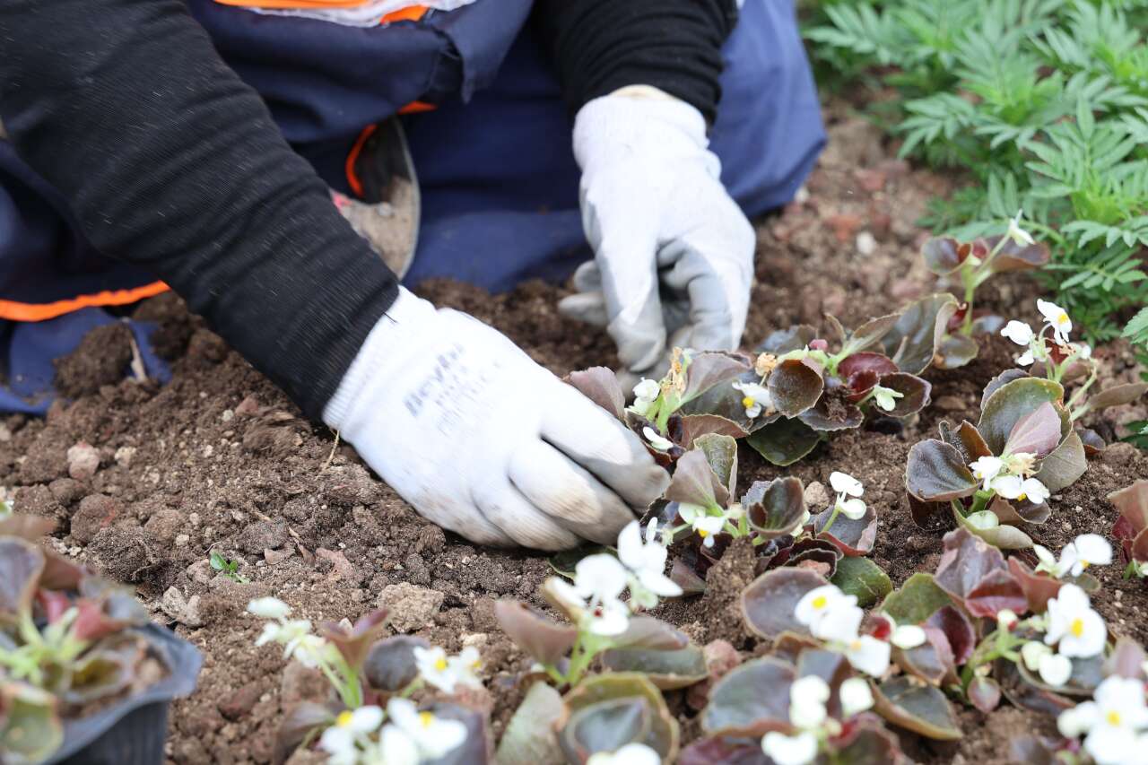 Konya’da 1 milyon 800 bin çiçek toprakla buluştu 13
